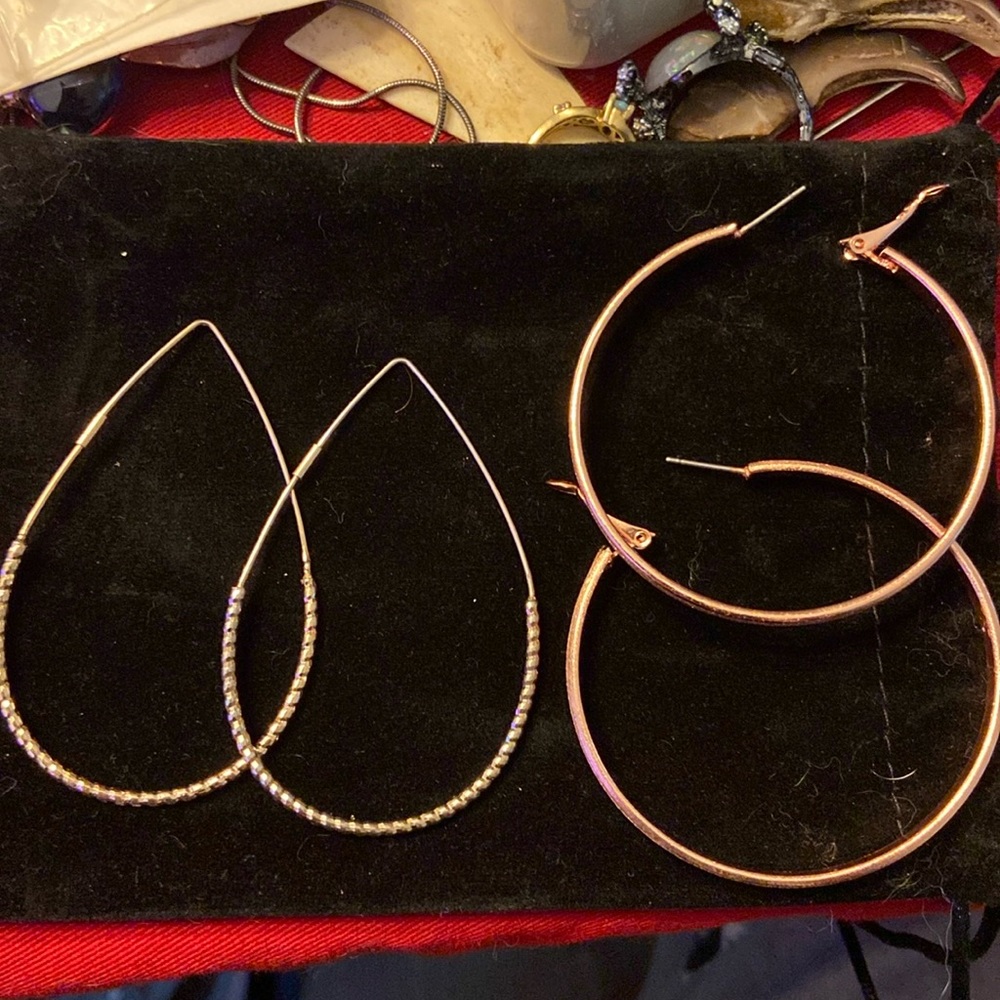 2 pairs of Large Hoops